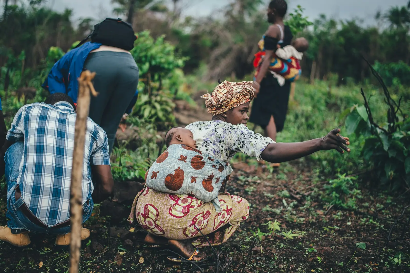 Farmers working together in a planted field