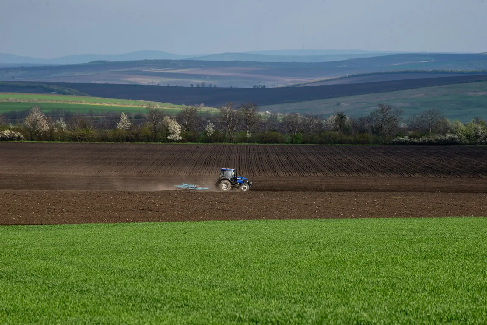 Tractor working a field to refine the soil surface