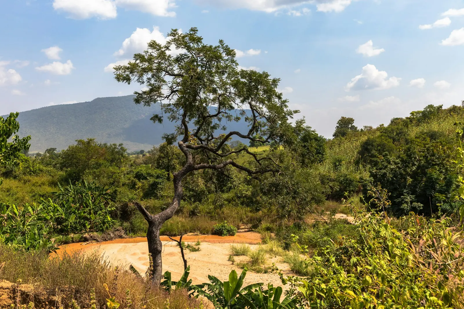 Green hills and farmland under a bright sky in Nigeria