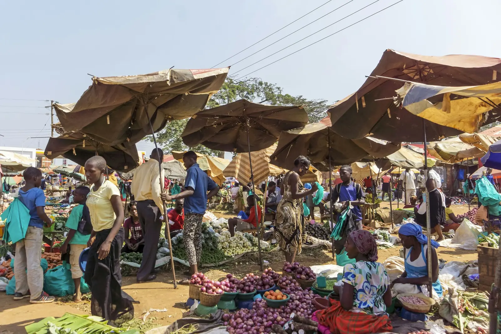 Busy open-air produce market under umbrellas